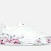 Cordova Classic - Painted Florals